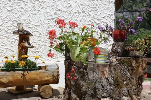 Apartamento Landgasthof Schuster