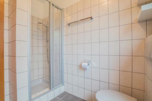 Profelt`s Apartments Uttendorf - Steinbock Lodges