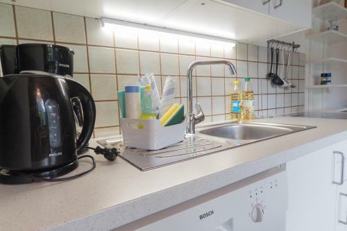 Profelt`s Apartments Uttendorf - Steinbock Lodges