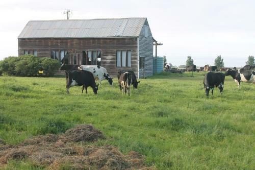 Abington Farm