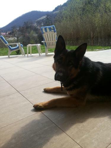 Hostal Guest House Edina Visoko