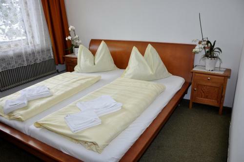 Hostal Pension Central