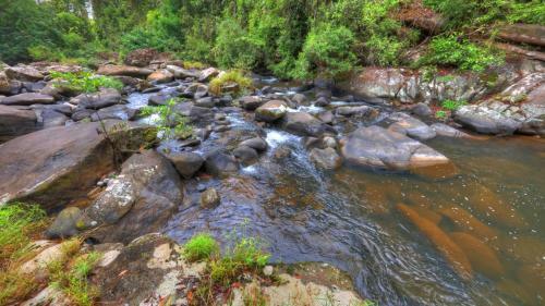 Bed & Breakfast Riversong Retreat