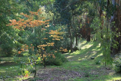 Agroturismo Strathmore Farm B&B