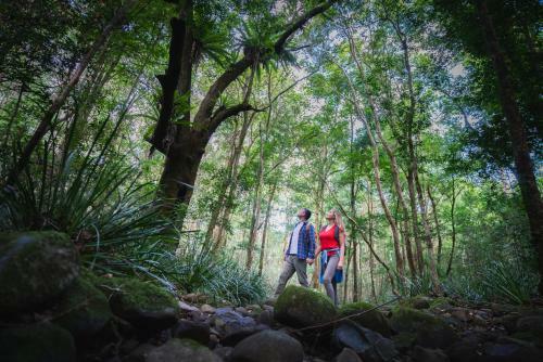 Villa Carawirry Forest Escape