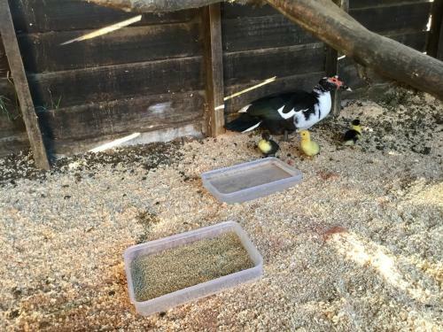 Agroturismo Shearers' Quarters Rathmore