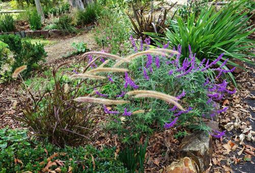 Bed & Breakfast The Oaks Lilydale Accommodation