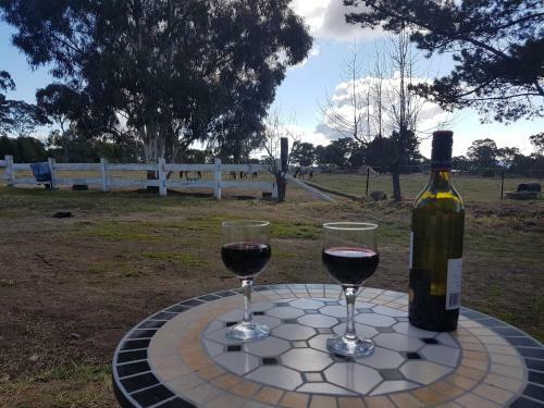 Agroturismo Happy Pig Farm
