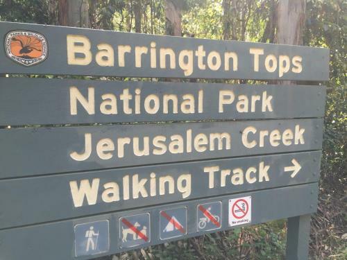 Blackwattle At Barrington Tops