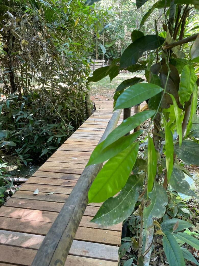 Hostal Pousada Jardim Da Amaz�nia