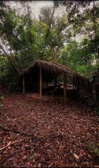 Hostal Pousada Jardim Da Amaz�nia