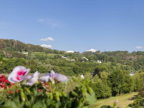 Cozy Holiday Home In Hallenberg With Terrace