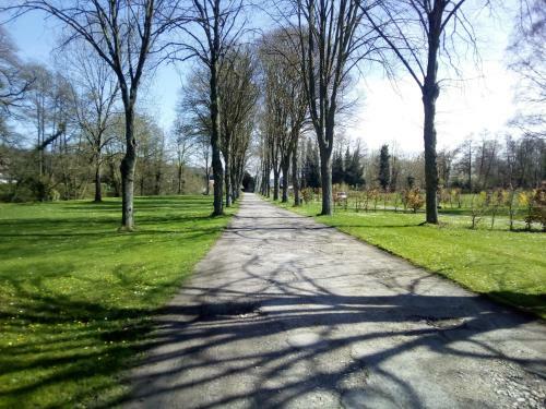 Domaine De Sery