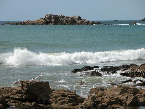 Apartamentos Camping L'id�al