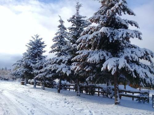 Lodge Caba�as Mapuche