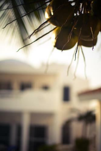Hotel Villas Flamingo