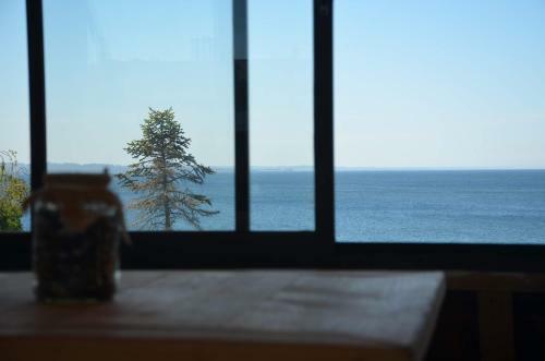 Bed & Breakfast Puerto Austral