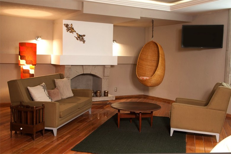 Pug Seal B&B Coyoacan