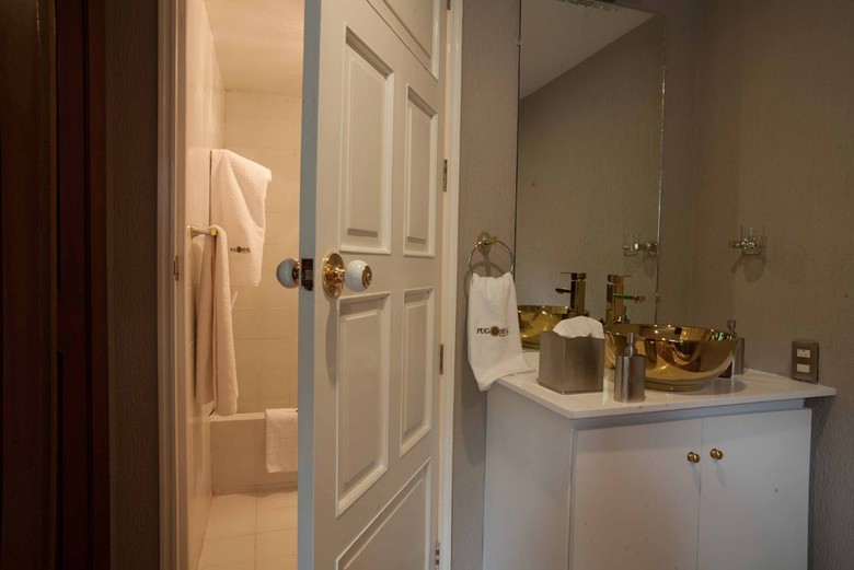 Pug Seal B&B Coyoacan