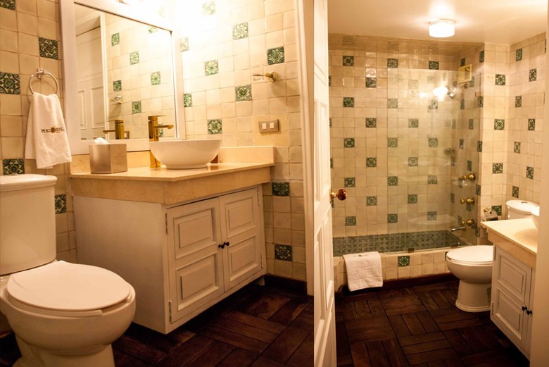 Pug Seal B&B Coyoacan