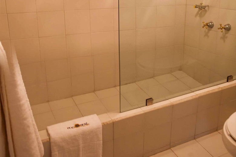 Pug Seal B&B Coyoacan