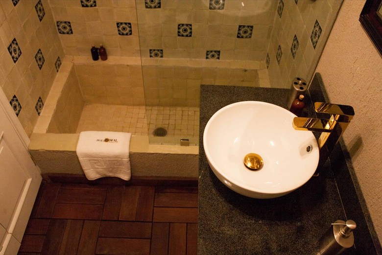 Pug Seal B&B Coyoacan