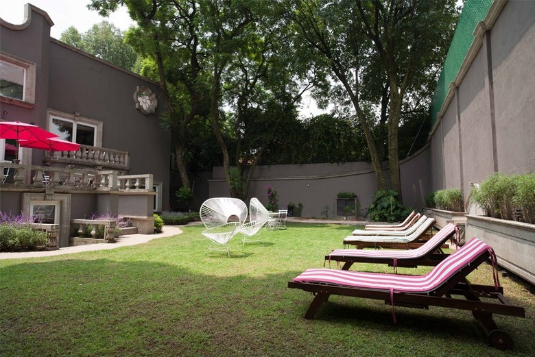 Pug Seal B&B Coyoacan