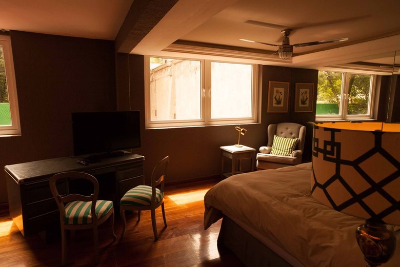 Pug Seal B&B Coyoacan