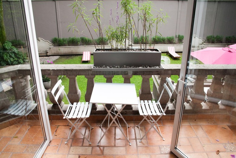 Pug Seal B&B Coyoacan