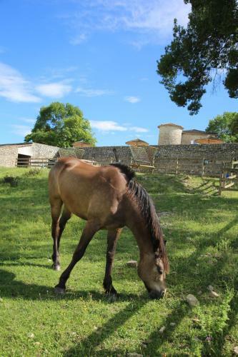Ch�teau De Chaussy