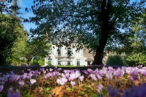 Lans Chateau Sleeps 14 Pool Air Con Wifi