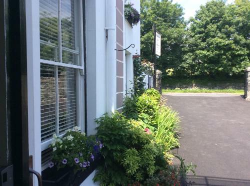 Bed & Breakfast Bron Aber