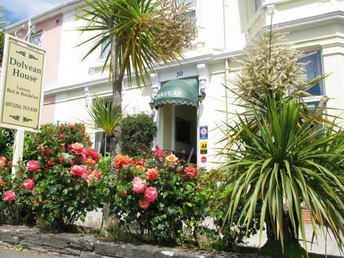 Bed & Breakfast Dolvean House