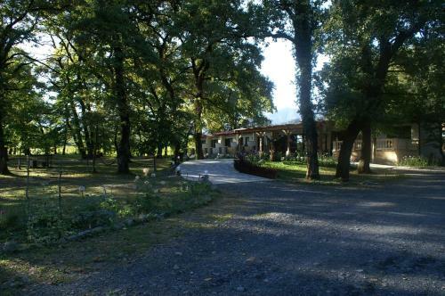 Hotel Kvareli Oaks
