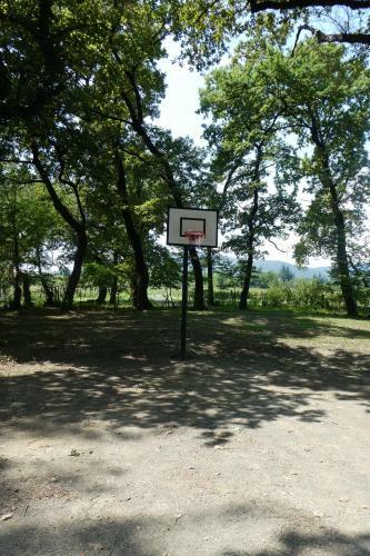 Hotel Kvareli Oaks