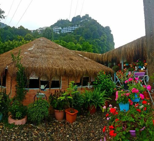 Hotel Calypso Kvariati Inn