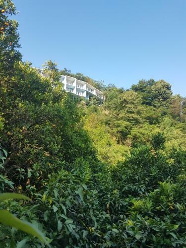 Hotel Calypso Kvariati Inn