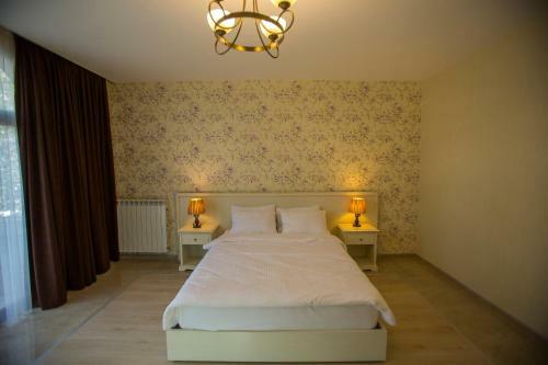 Hotel Ire Palace