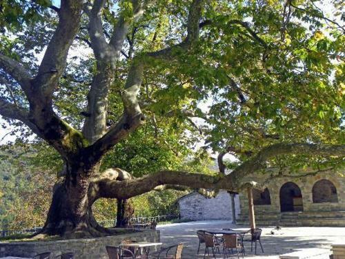 Hostal En Chora Vezitsa