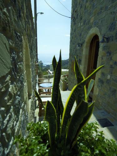 Aparthotel Diktynna Traditional Villas