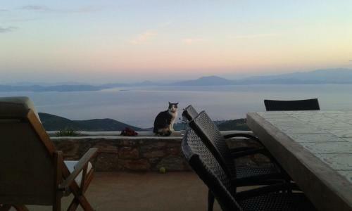 Pelion Villa Alkistis Myth And Magic