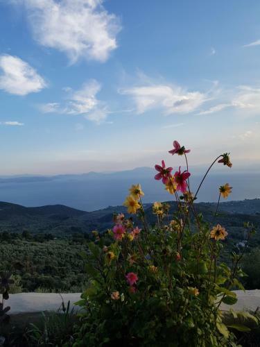 Pelion Villa Alkistis Myth And Magic