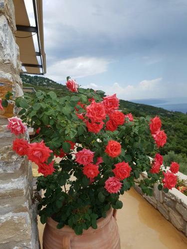 Pelion Villa Alkistis Myth And Magic