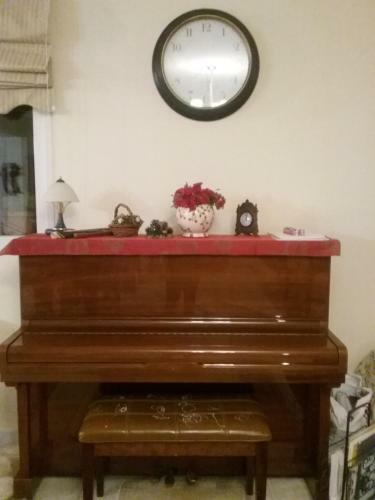 Apartamento Olive Luxouri