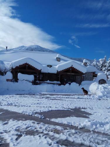 Hostal Guesthouse Kastania