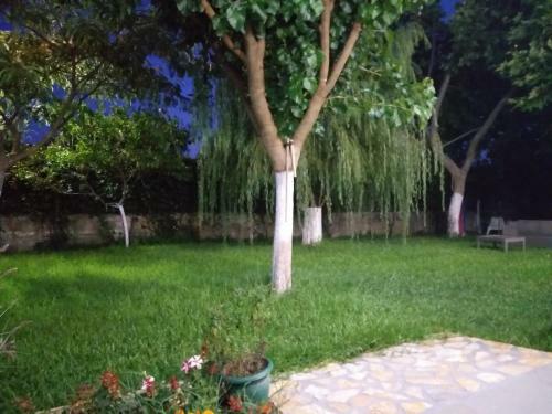 Apartamento Nzeb Villa