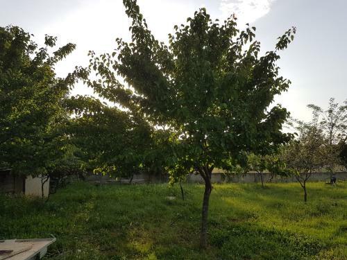 Apartamento Nzeb Villa