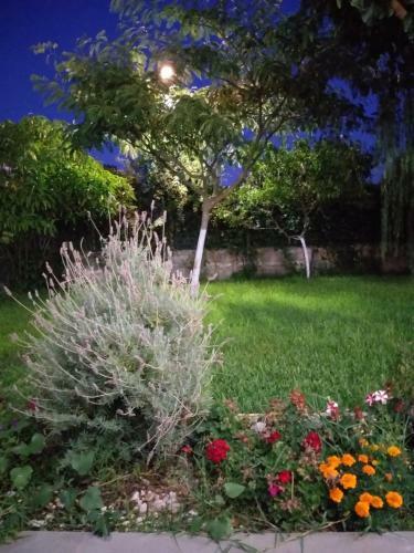 Apartamento Nzeb Villa