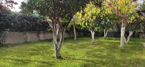 Apartamento Nzeb Villa