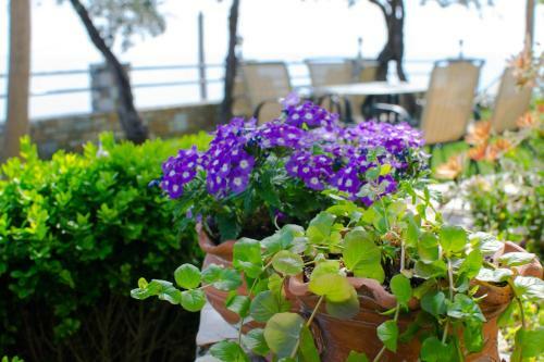 Apartamento Guesthouse Enastron